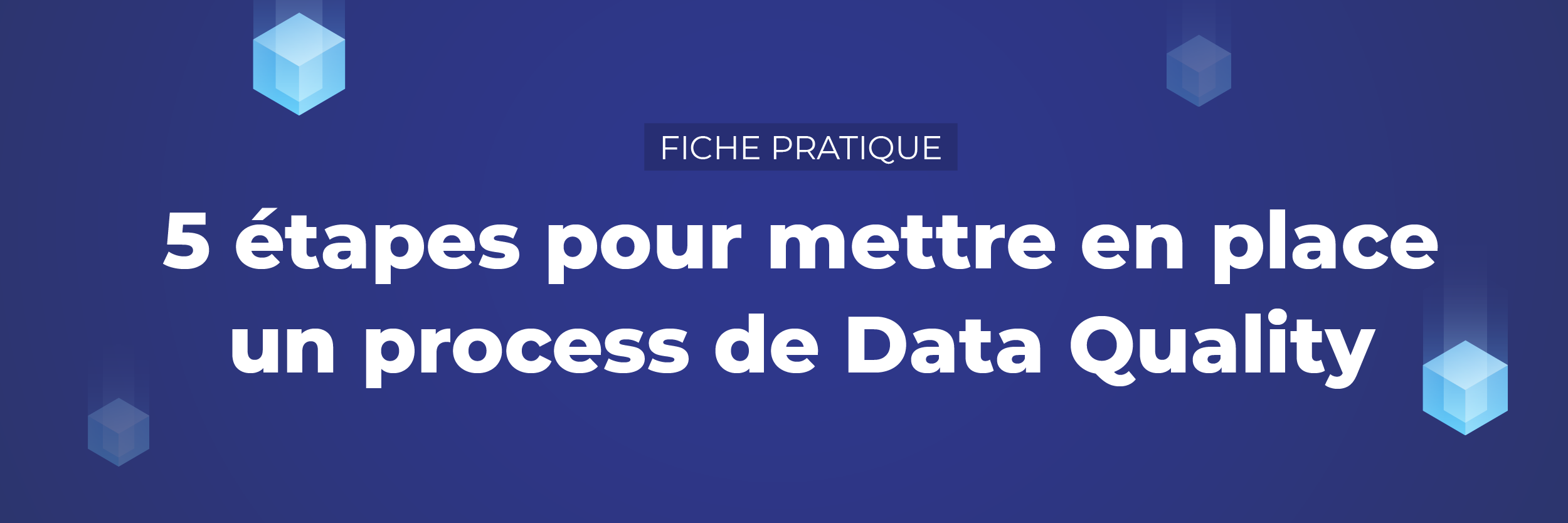 Fiche pratique : Votre process Data Quality en 5 étapes