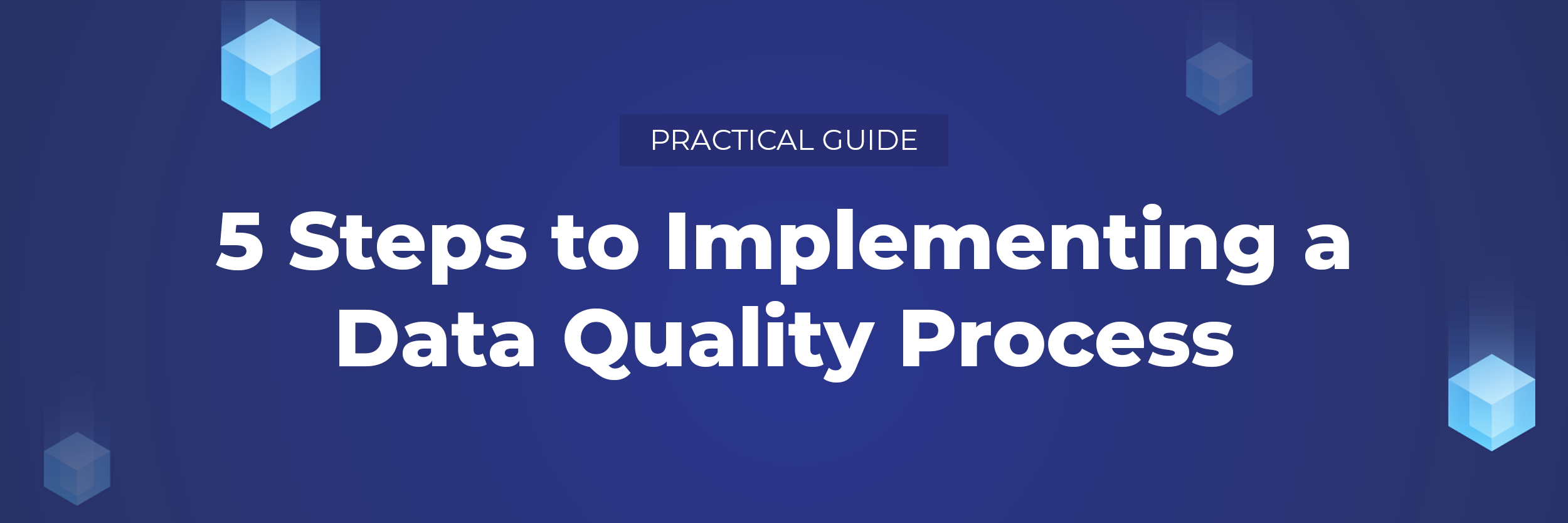 5 Steps to Implementing a Data Quality Process