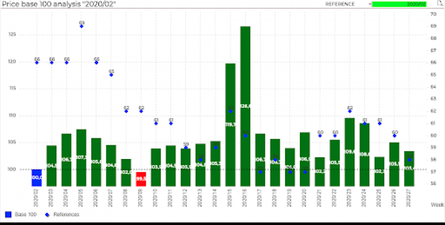 Screenshot of the Lizeo BI with a chart of Price Base 100 for tyre products