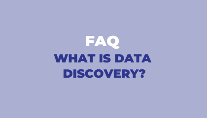 Data discovery: a definition by Lizeo