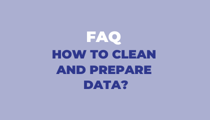 The data cleaning and preparation process by Lizeo