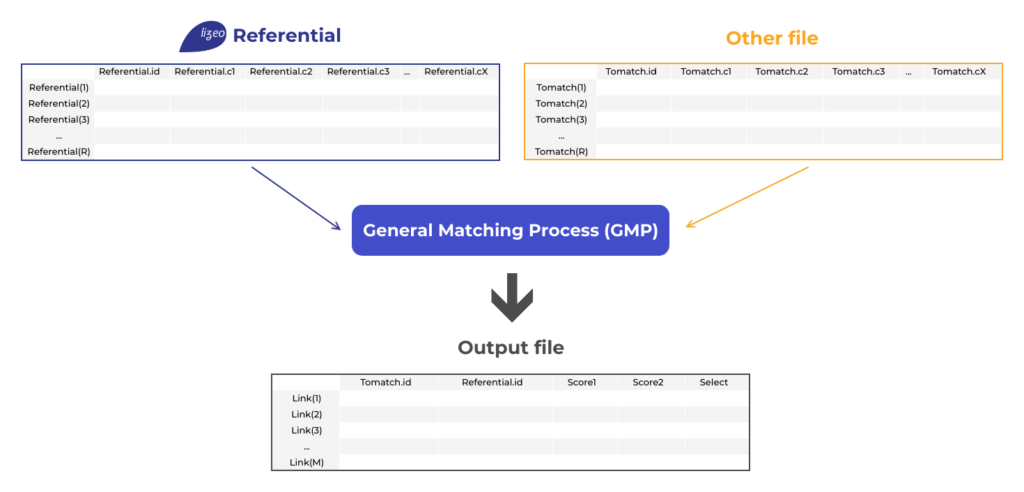 Introduction to Data Matching