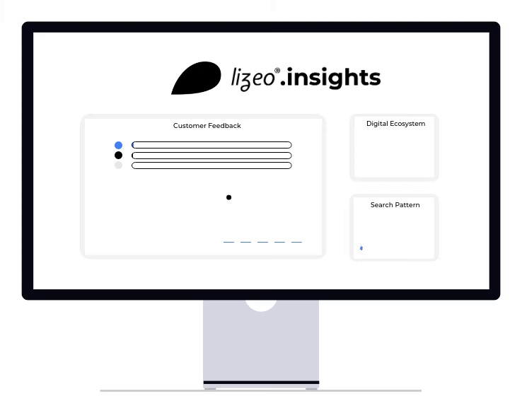 Lizeo Insights solution