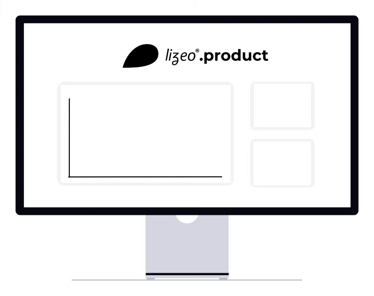 Lizeo Product solution